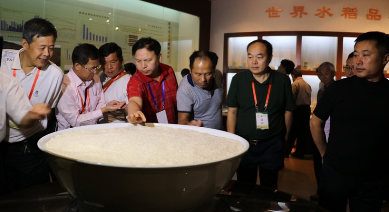 台湾嘉宾参观考察中国稻米博物馆